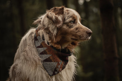 Halstuch ASA - Bandana | Hundehalstuch | mittelschwer