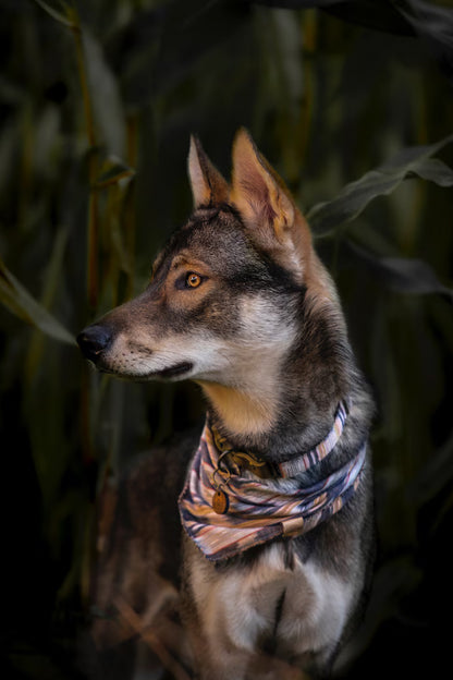 SIF collar in an ethnic look made of greased leather and fabric combination - available in different designs