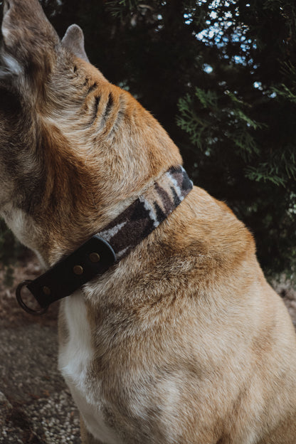 Halsband YMIR • Fettleder-Stoff-Kombi | verschiedene Varianten erhältlich