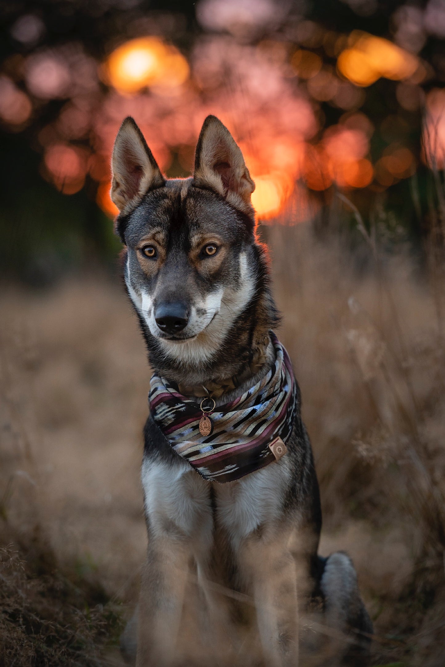 Halstuch IDUNA - Bandana | Hundehalstuch | leicht