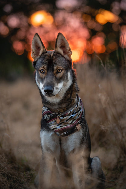 Halstuch IDUNA - Bandana | Hundehalstuch | leicht