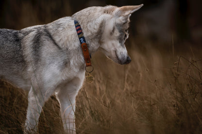 ODIN collar in an ethnic look made of greased leather and fabric combination - available in different designs
