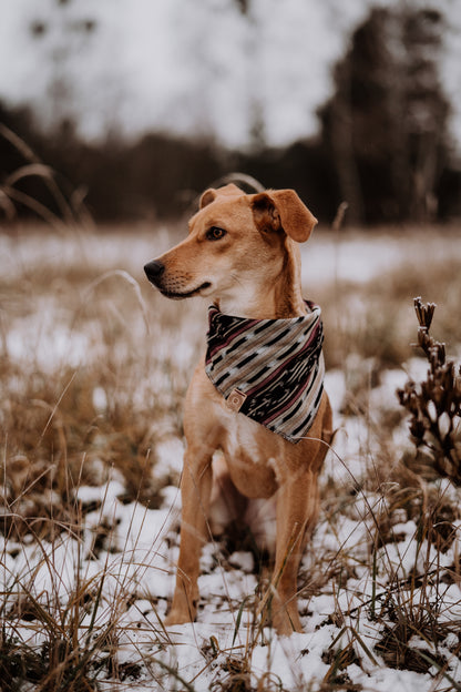 Halstuch IDUNA - Bandana | Hundehalstuch | leicht