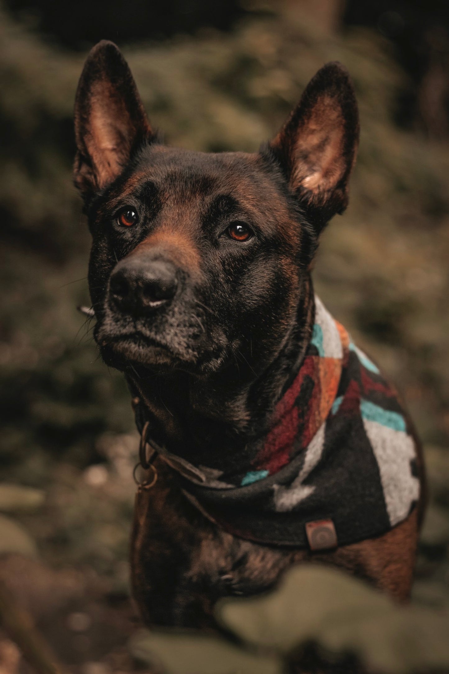Halstuch ASA - Bandana | Hundehalstuch | mittelschwer