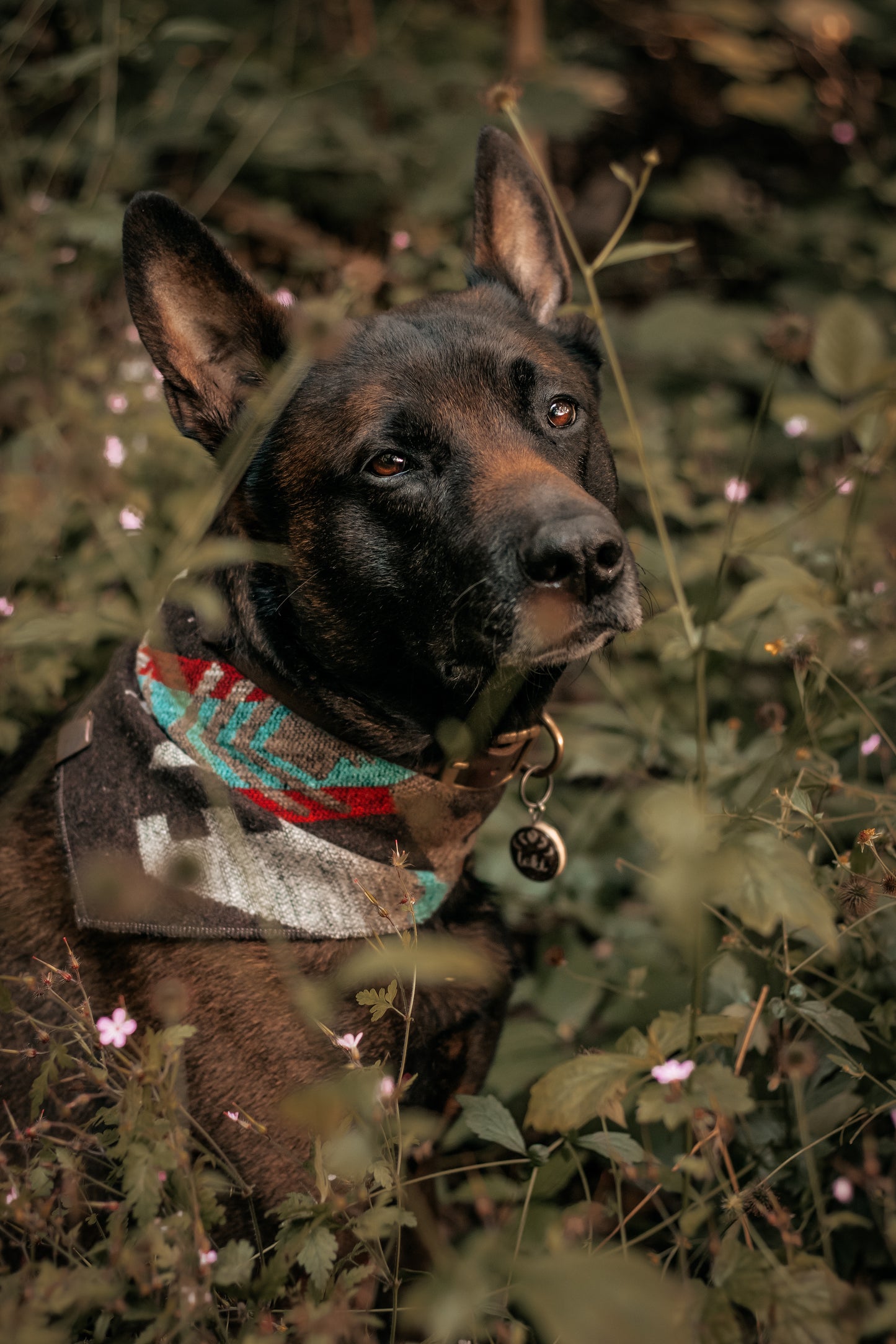 Halstuch BURI - Bandana | Hundehalstuch | mittelschwer