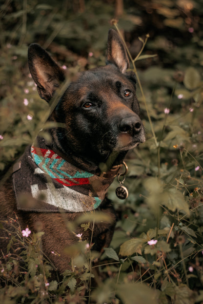 Halstuch BURI - Bandana | Hundehalstuch | mittelschwer