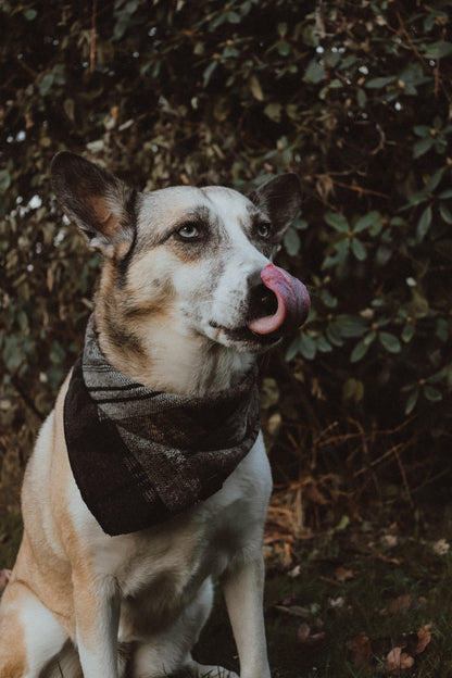 Halstuch VIDAR - Bandana | Hundehalstuch | mittelschwer