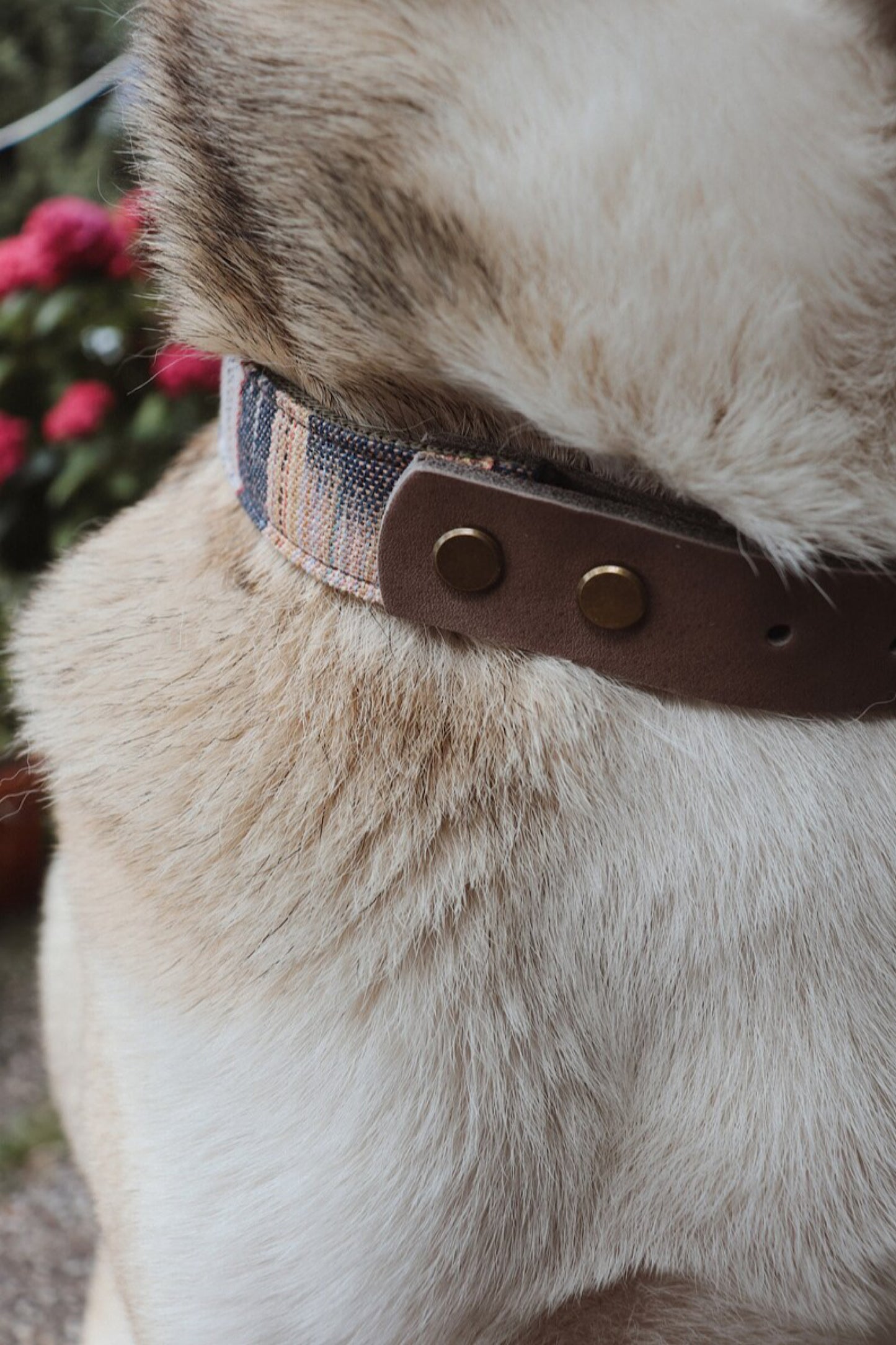 SIF collar in an ethnic look made of greased leather and fabric combination - available in different designs