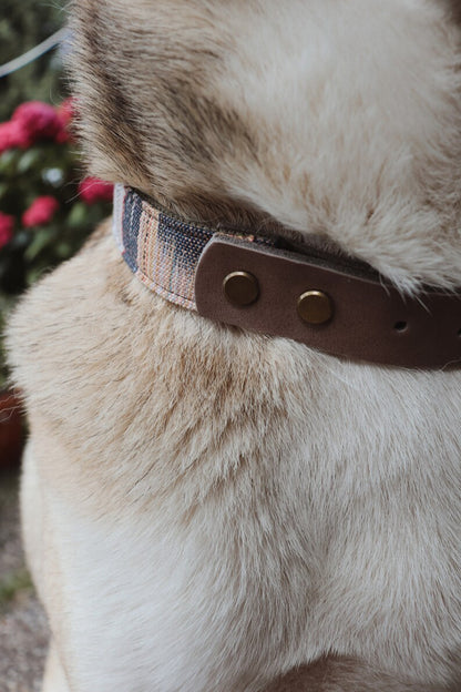 SIF collar in an ethnic look made of greased leather and fabric combination - available in different designs