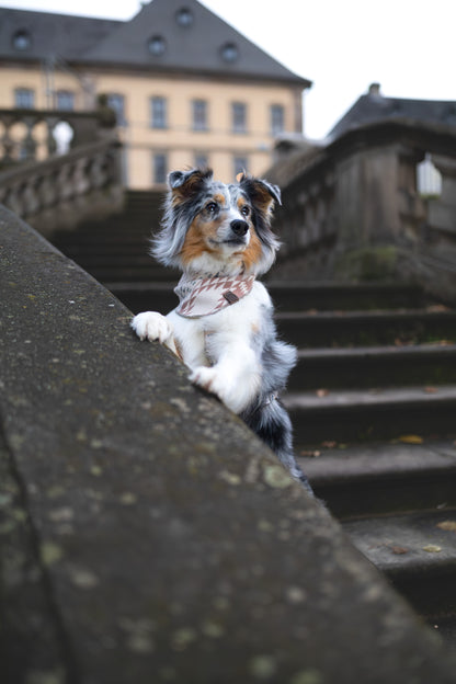 Halstuch EMBLA - Bandana | Hundehalstuch | mittelschwer