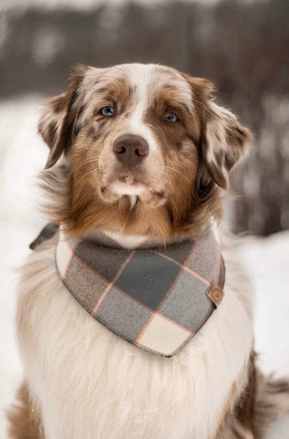 Halstuch MUNIN - Bandana | Hundehalstuch | mittelschwer