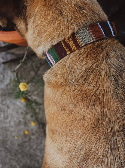 Halsband FREKI • Fettleder-Stoff-Kombi | verschiedene Varianten erhältlich
