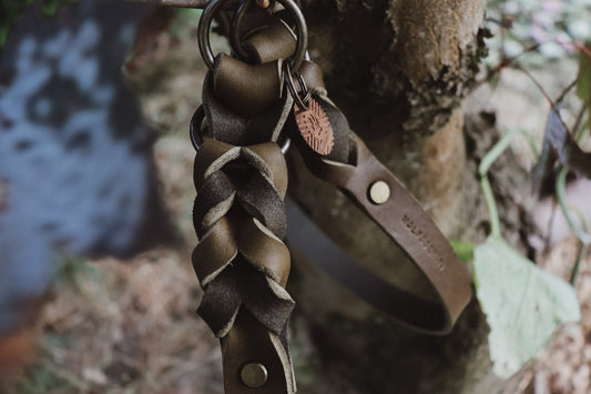 Zugstopp Halsband aus Fettleder | Retrieverhalsband zum Überstreifen