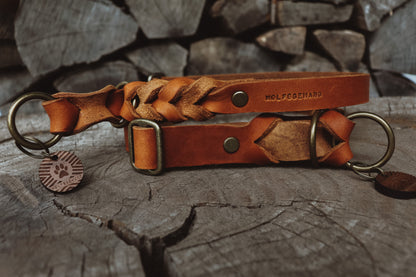Zugstopp Halsband aus Fettleder | Retrieverhalsband zum Überstreifen