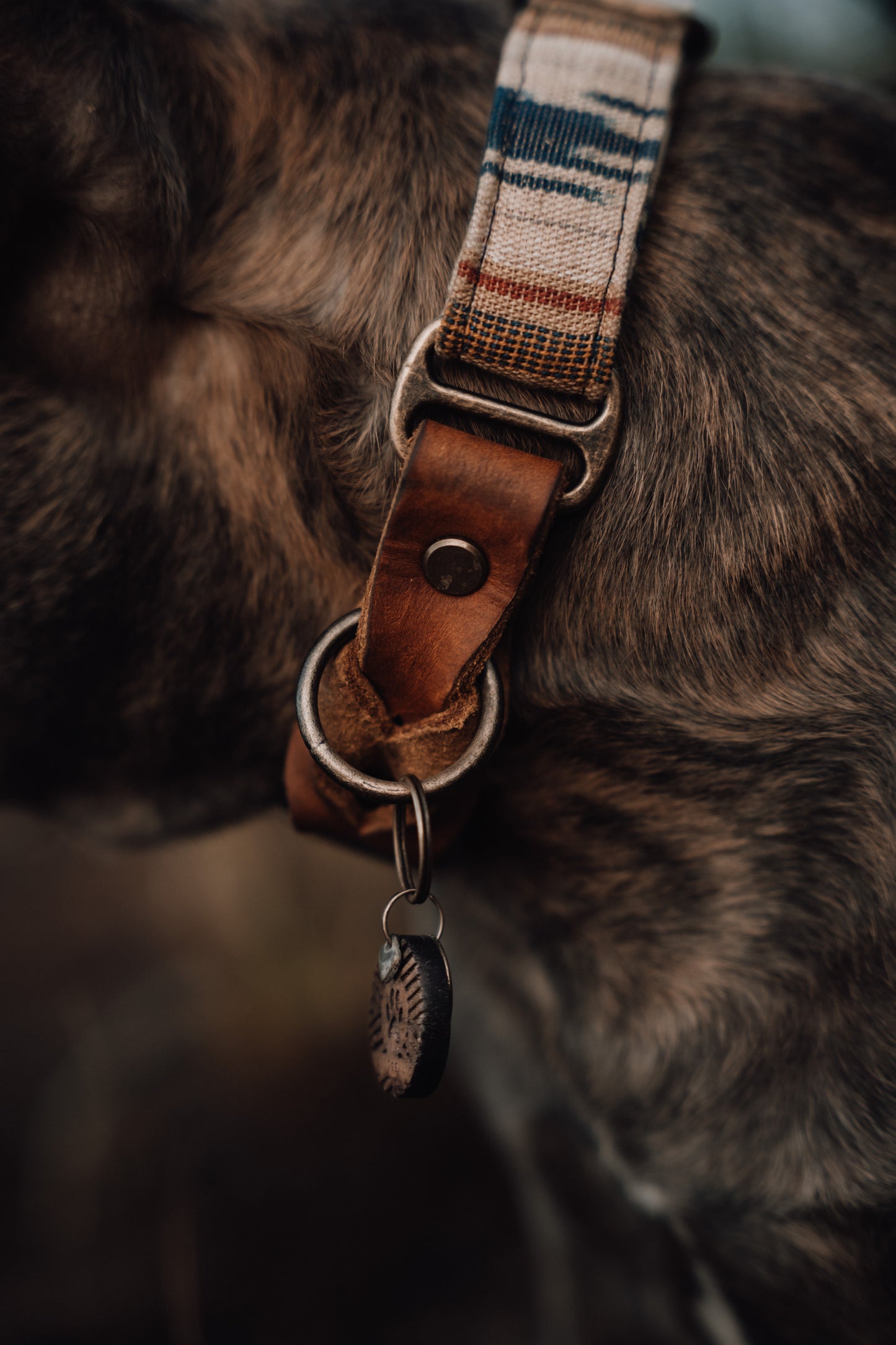 GERI collar in an ethnic look made of greased leather and fabric combination - available in different designs