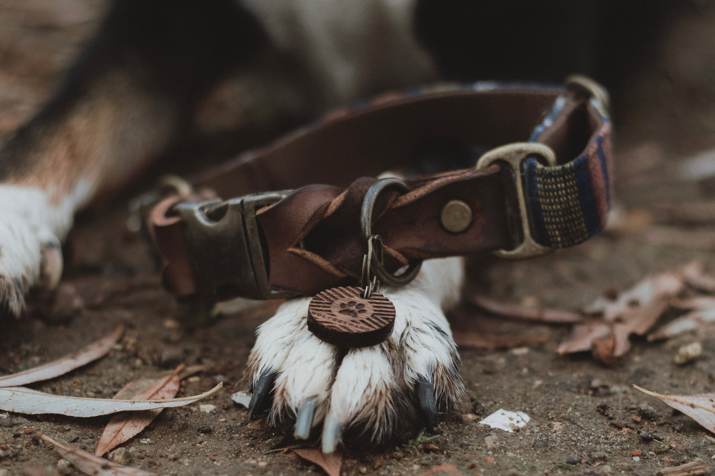 ODIN collar in an ethnic look made of greased leather and fabric combination - available in different designs