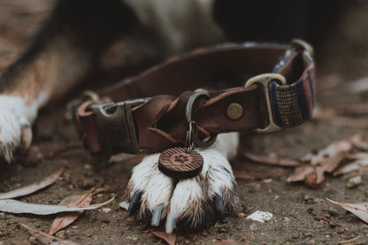 ODIN collar in an ethnic look made of greased leather and fabric combination - available in different designs
