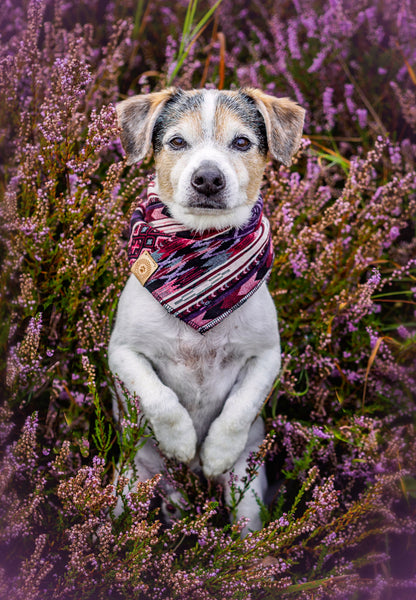 Halstuch HEL - Bandana | Hundehalstuch | schwer
