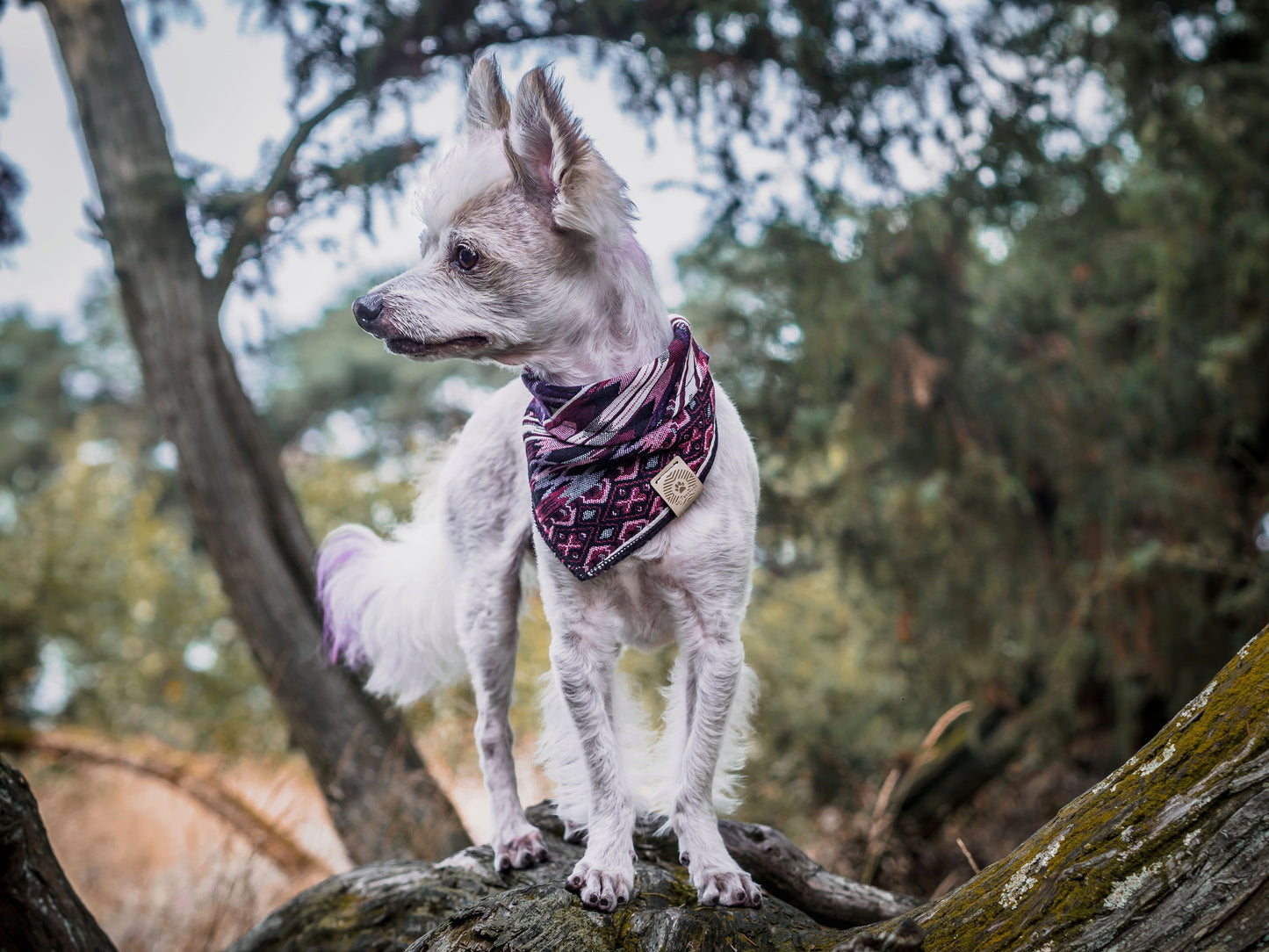 Halstuch HEL - Bandana | Hundehalstuch | schwer