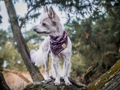 Halstuch HEL - Bandana | Hundehalstuch | schwer