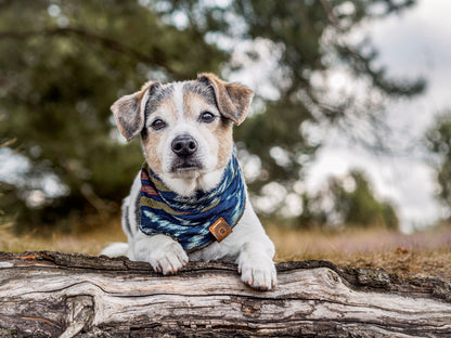 Halstuch ODIN - Bandana | Hundehalstuch | leicht