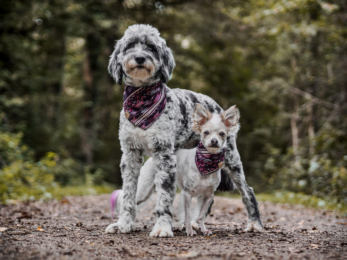 Halstuch HEL - Bandana | Hundehalstuch | schwer