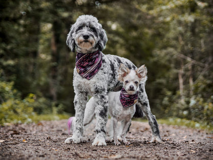 Halstuch HEL - Bandana | Hundehalstuch | schwer