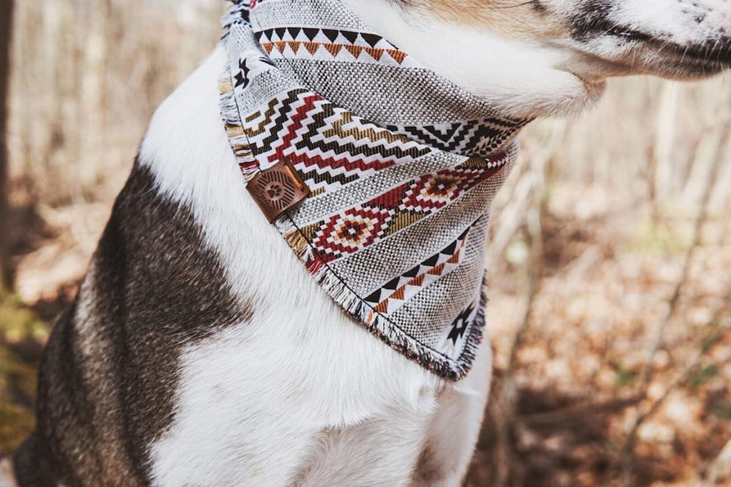 Halstuch BRAGI - Bandana | Hundehalstuch | schwer