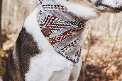 Halstuch BRAGI - Bandana | Hundehalstuch | schwer