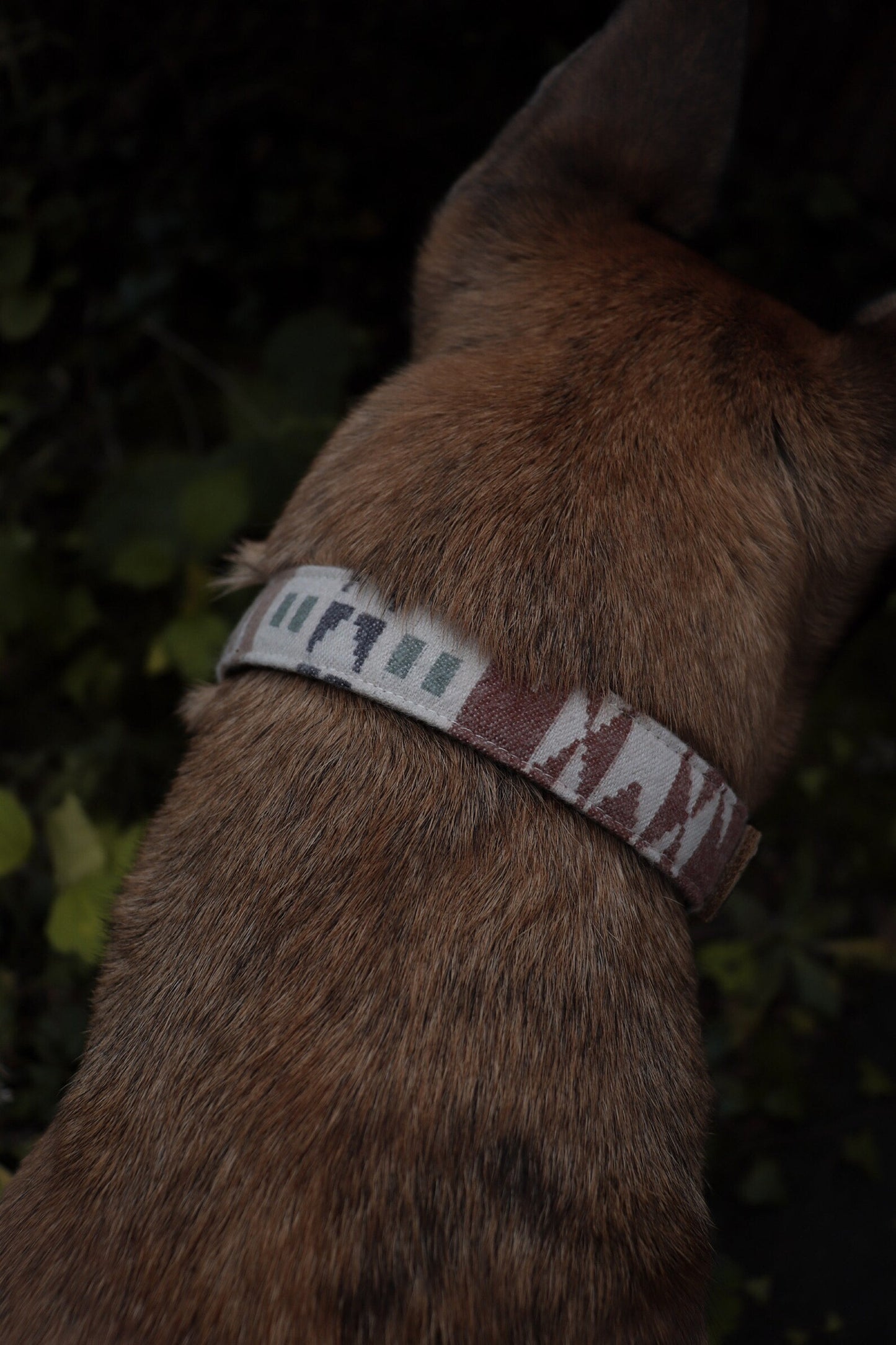 Halsband EMBLA • Fettleder-Stoff-Kombi | verschiedene Varianten erhältlich