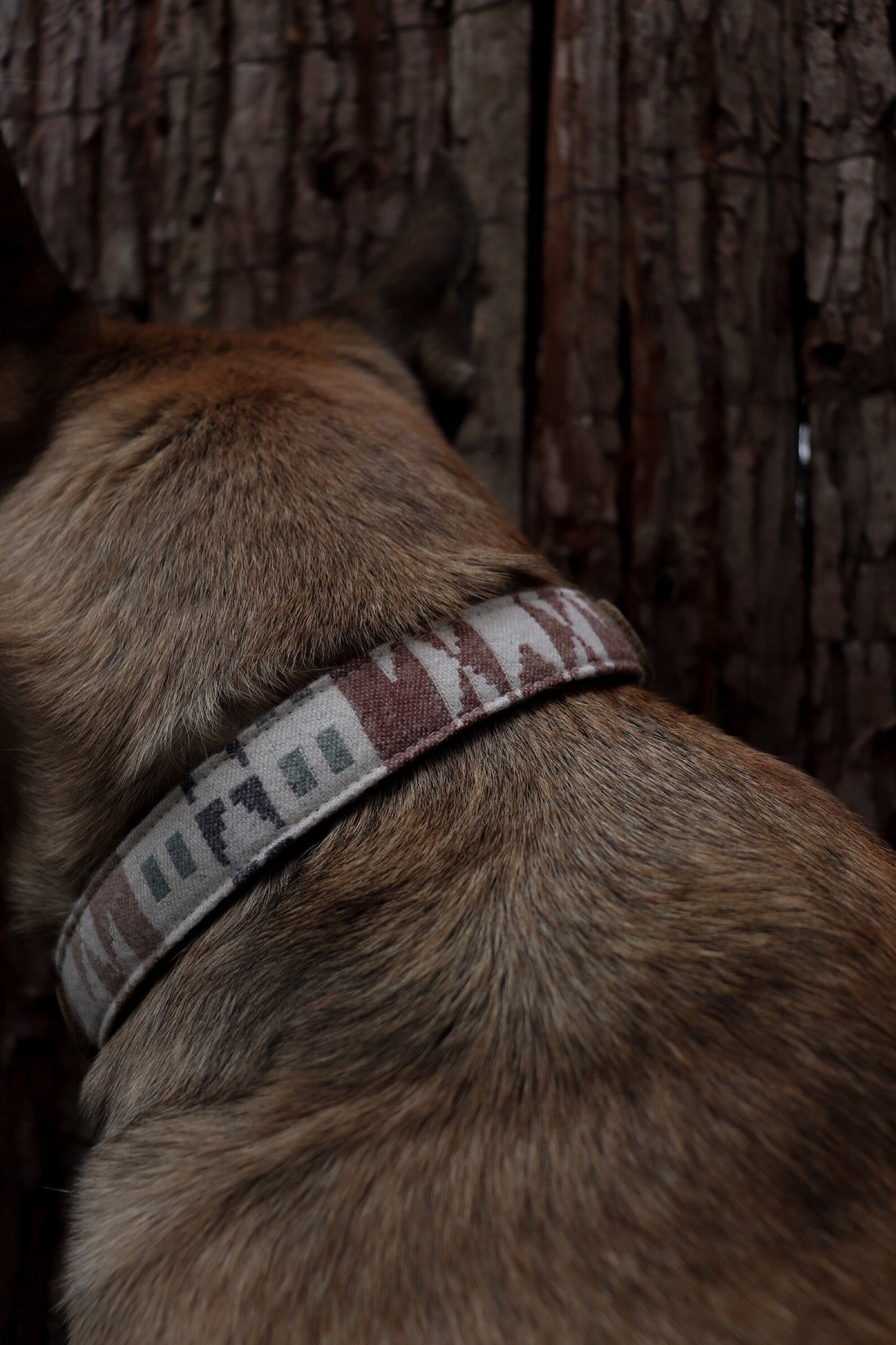 Halsband EMBLA • Fettleder-Stoff-Kombi | verschiedene Varianten erhältlich