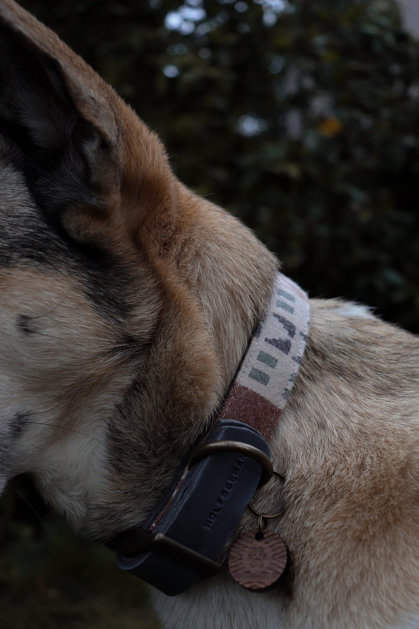 Halsband EMBLA • Fettleder-Stoff-Kombi | verschiedene Varianten erhältlich