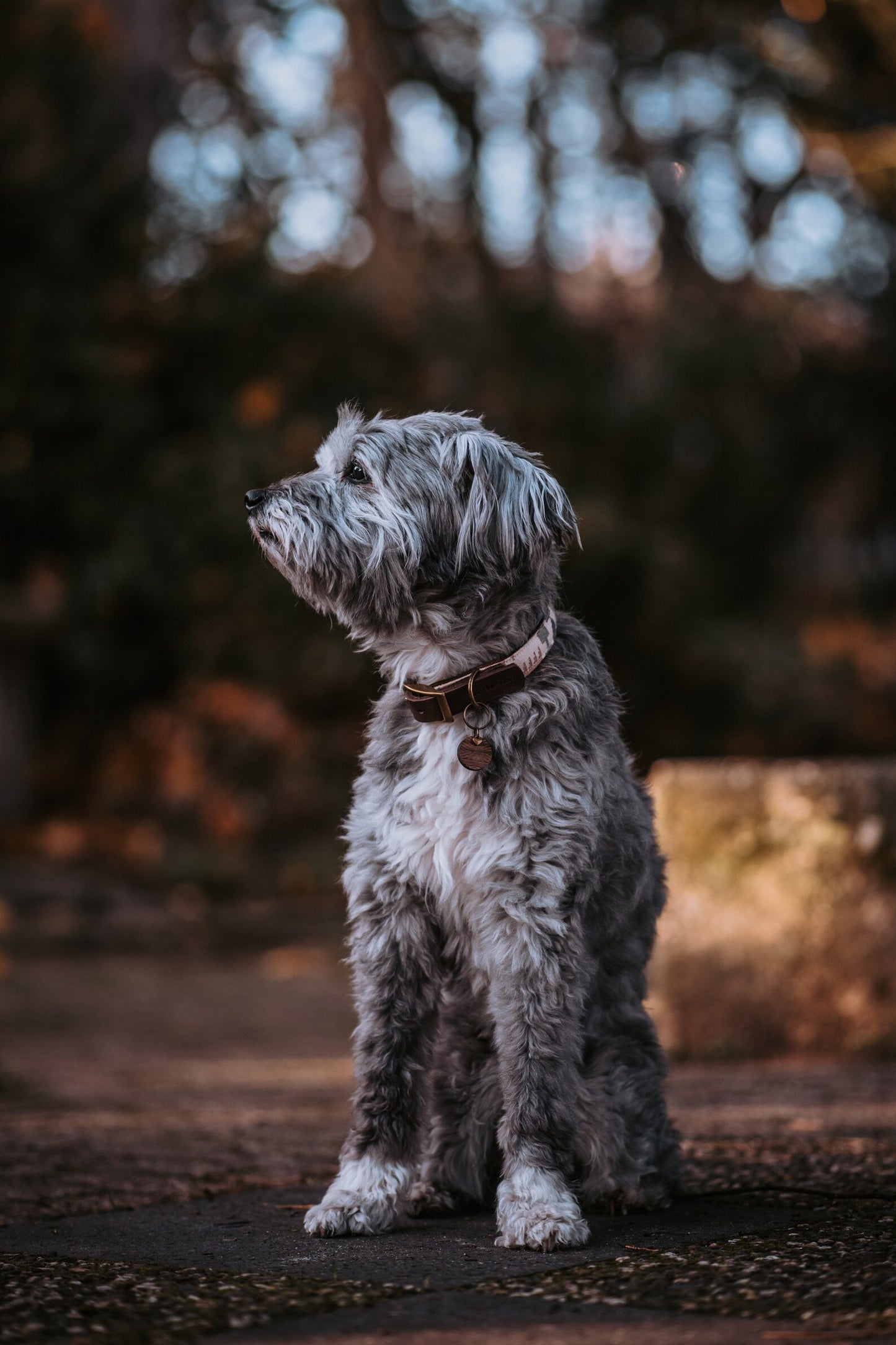 Halsband EMBLA • Fettleder-Stoff-Kombi | verschiedene Varianten erhältlich