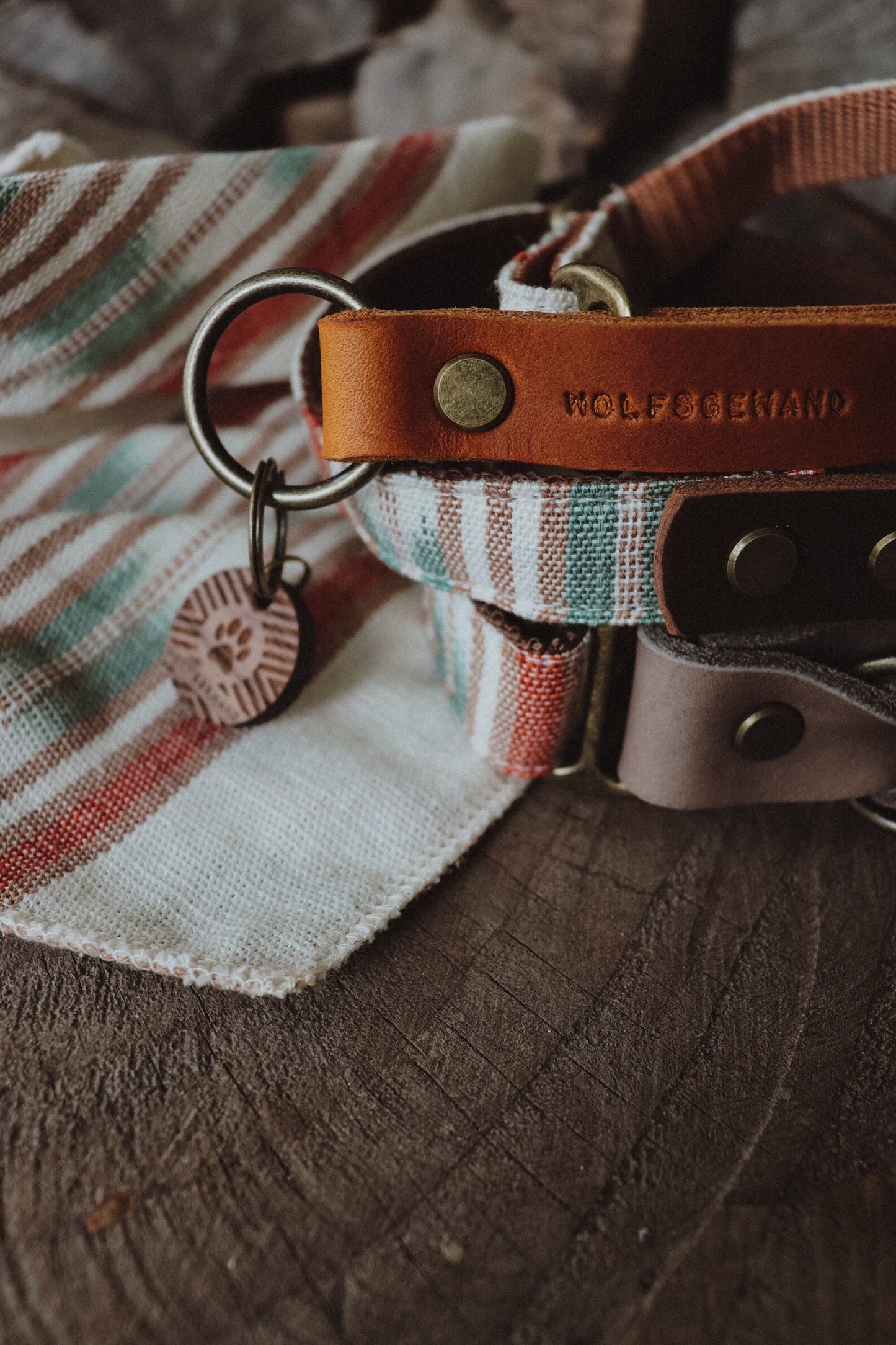 Halsband DAG • Fettleder-Stoff-Kombi | verschiedene Varianten erhältlich