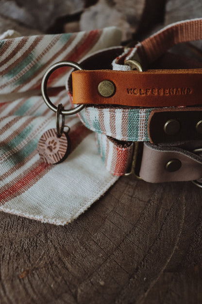 Halsband DAG • Fettleder-Stoff-Kombi | verschiedene Varianten erhältlich