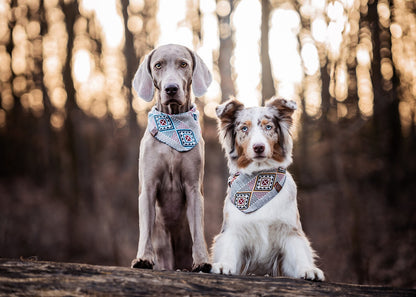 Halstuch BRAGI - Bandana | Hundehalstuch | schwer