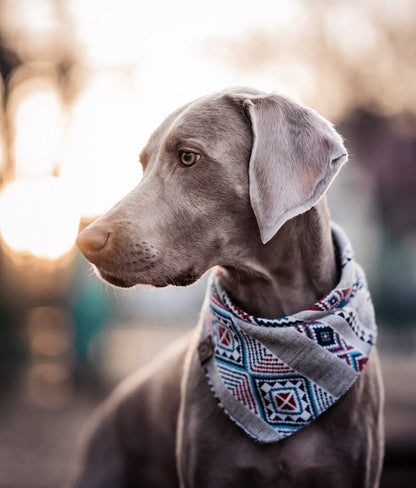 Halstuch BRAGI - Bandana | Hundehalstuch | schwer