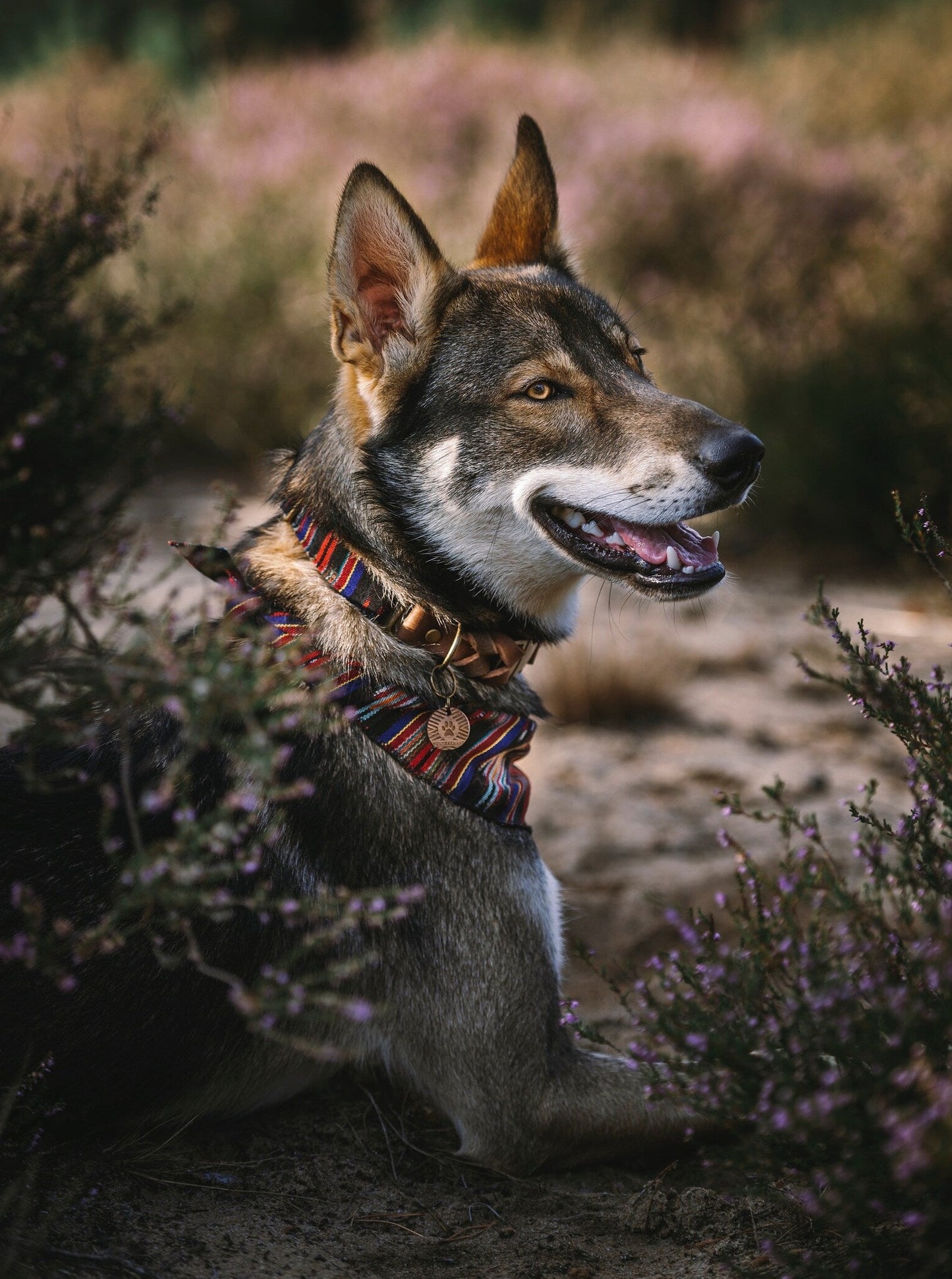 Halsband NOTT • Fettleder-Stoff-Kombi | verschiedene Varianten erhältlich