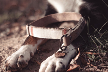 Halsband DAG • Fettleder-Stoff-Kombi | verschiedene Varianten erhältlich
