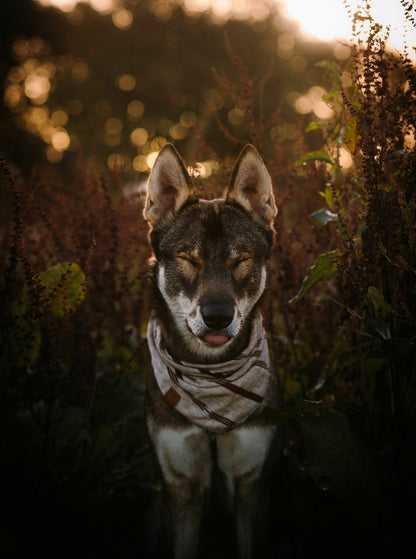 Halstuch EDDA - Bandana | Hundehalstuch | leicht