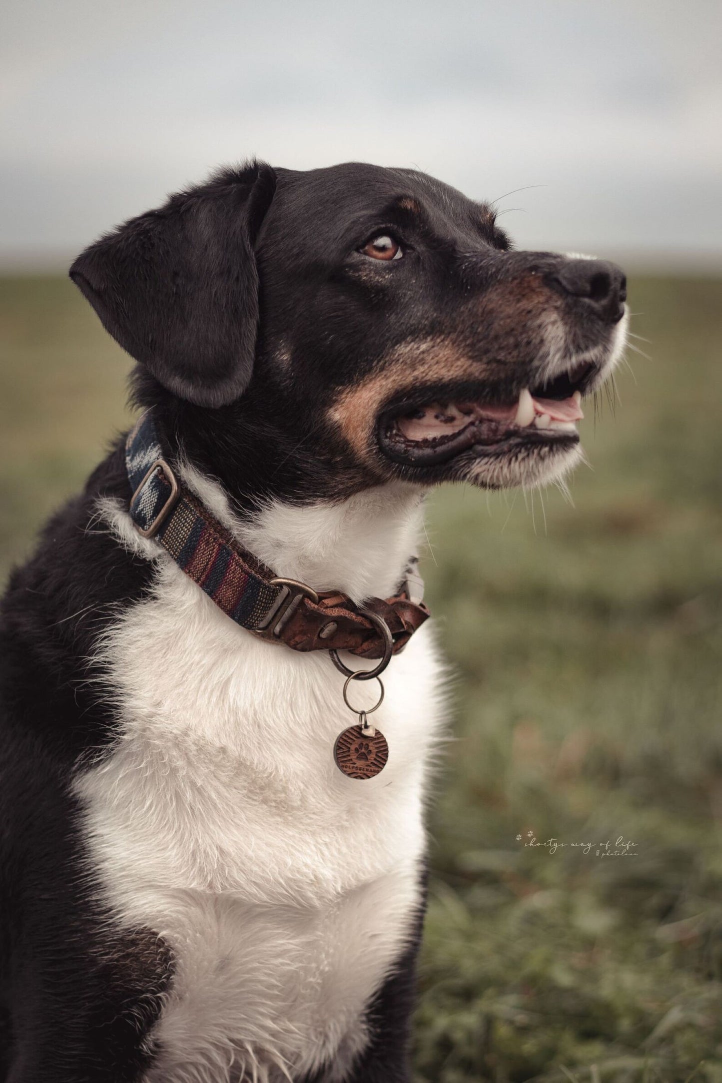ODIN collar in an ethnic look made of greased leather and fabric combination - available in different designs