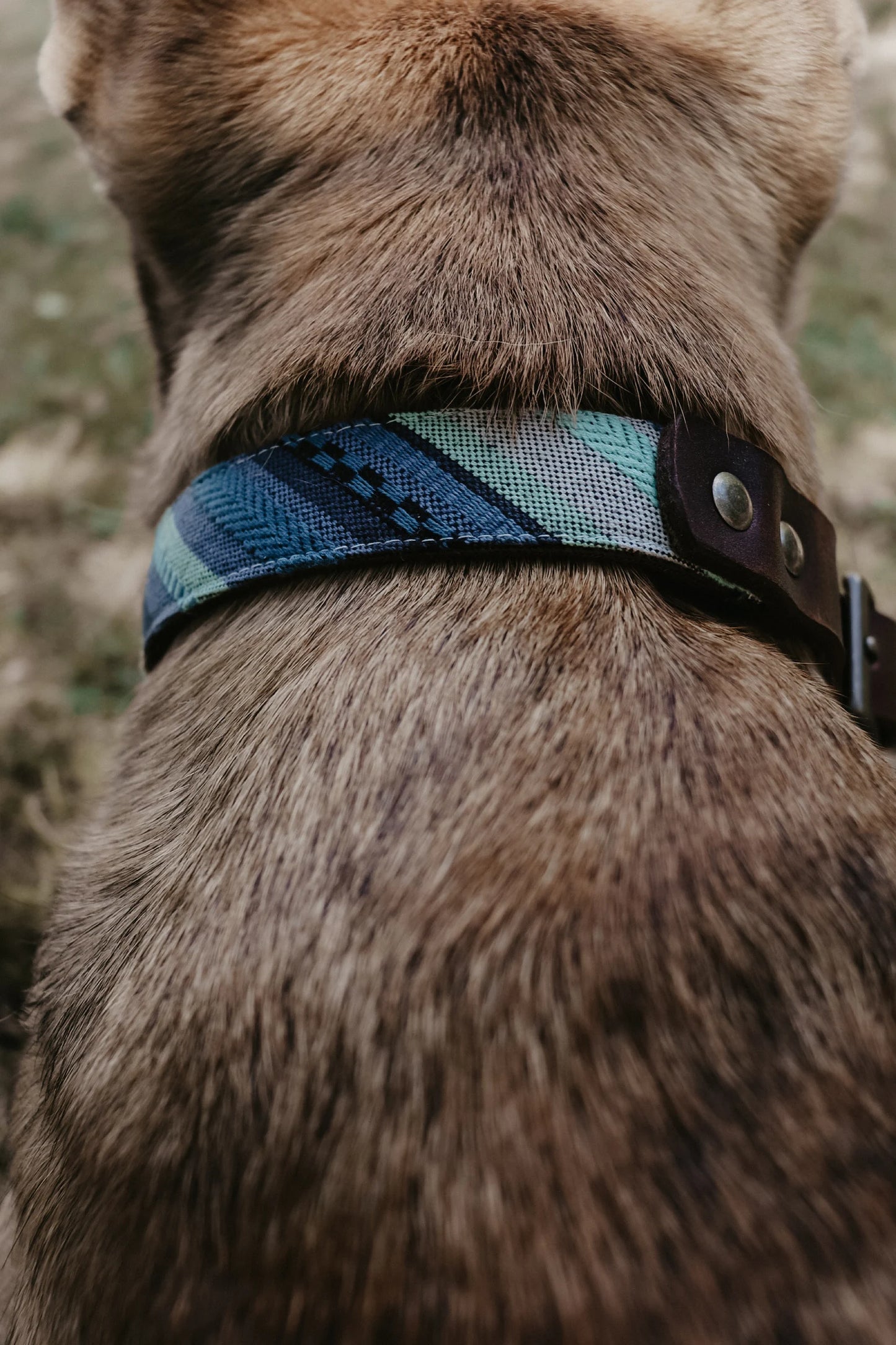 FREY collar in an ethnic look made of greased leather and fabric combination - available in different designs