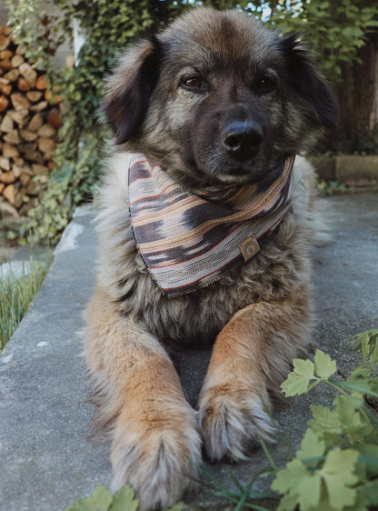 Halstuch SIF - Bandana | Hundehalstuch | leicht