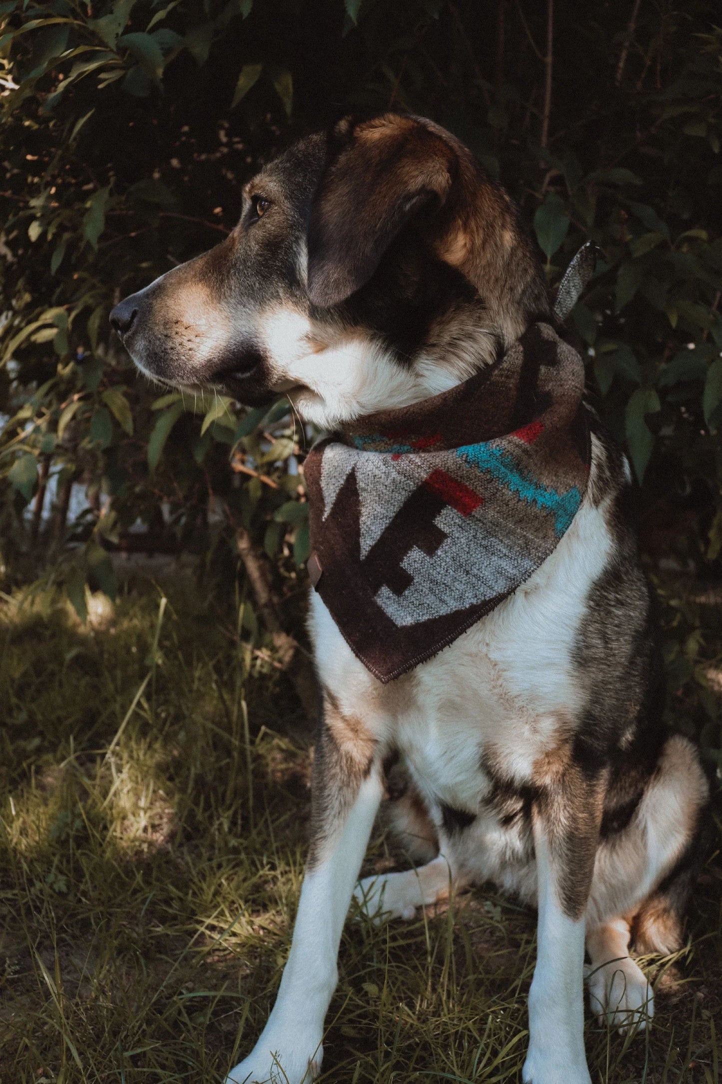 Halstuch BURI - Bandana | Hundehalstuch | mittelschwer