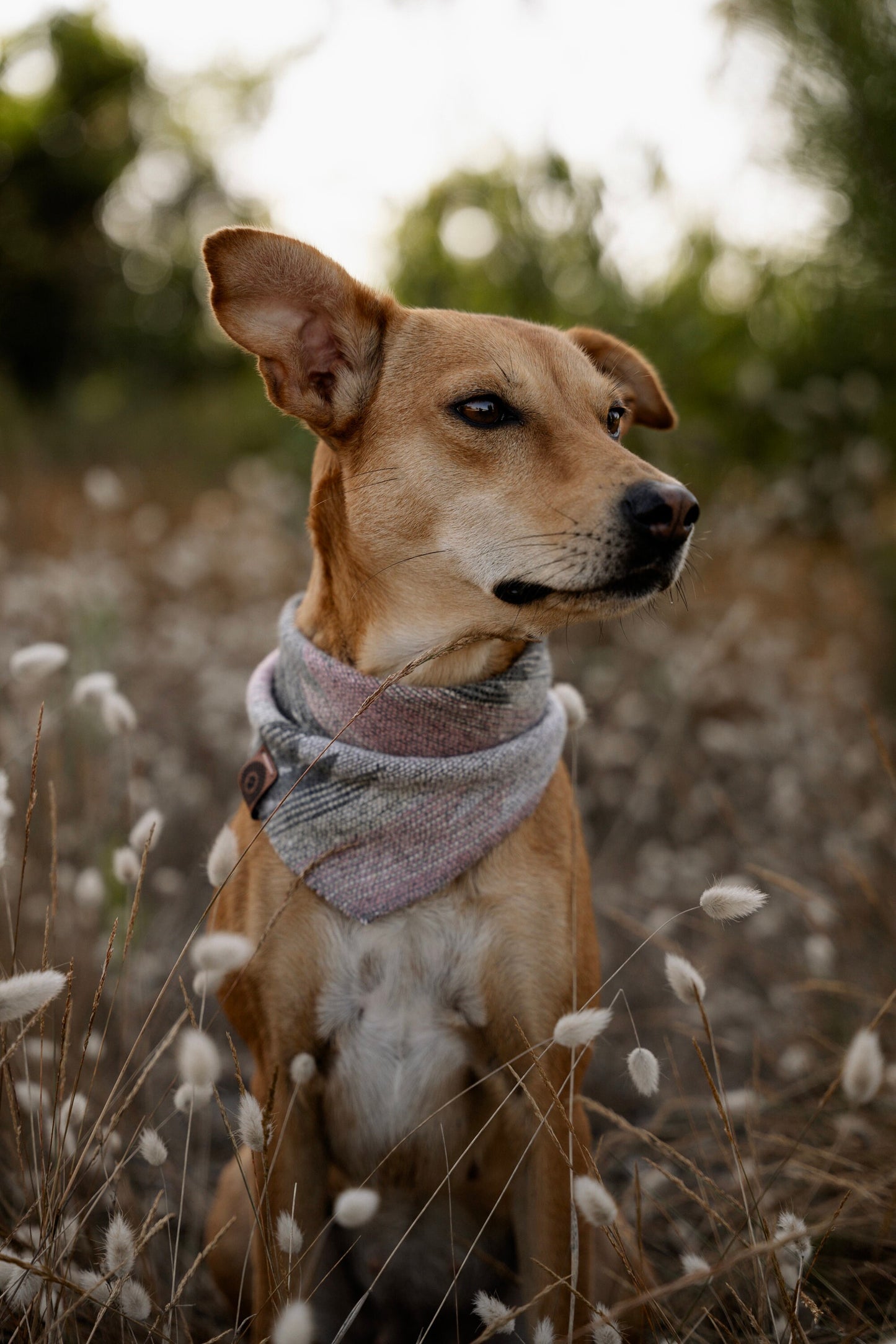 Halstuch URD - Bandana | Hundehalstuch | mittelschwer