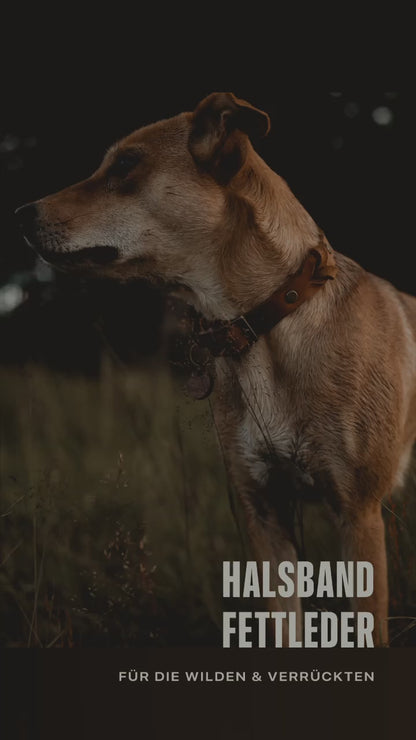 Halsband aus Fettleder | zeitloser Klassiker | einfach oder geflochten
