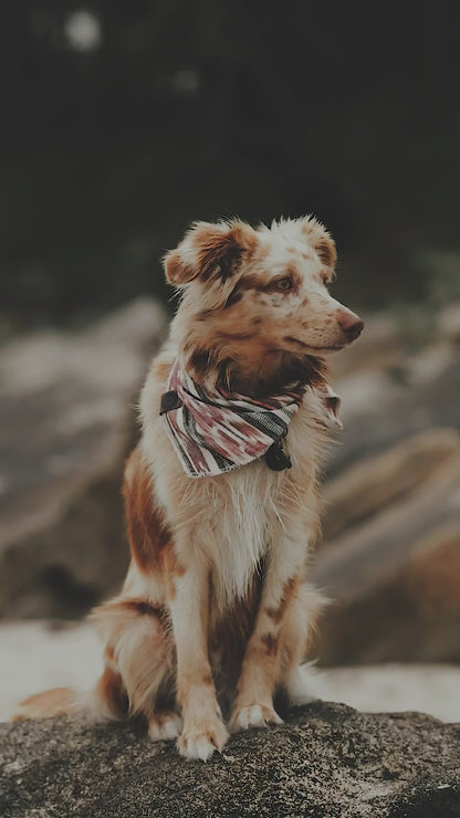 Halstuch SOL - Bandana | Hundehalstuch | leicht