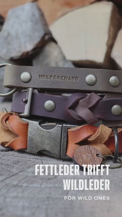 Halsband Fettleder trifft Wildleder | verschiedene Varianten erhältlich